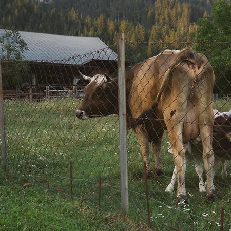 Landhaus Obervellach Hermagor-Pressegger See Kültér fotó