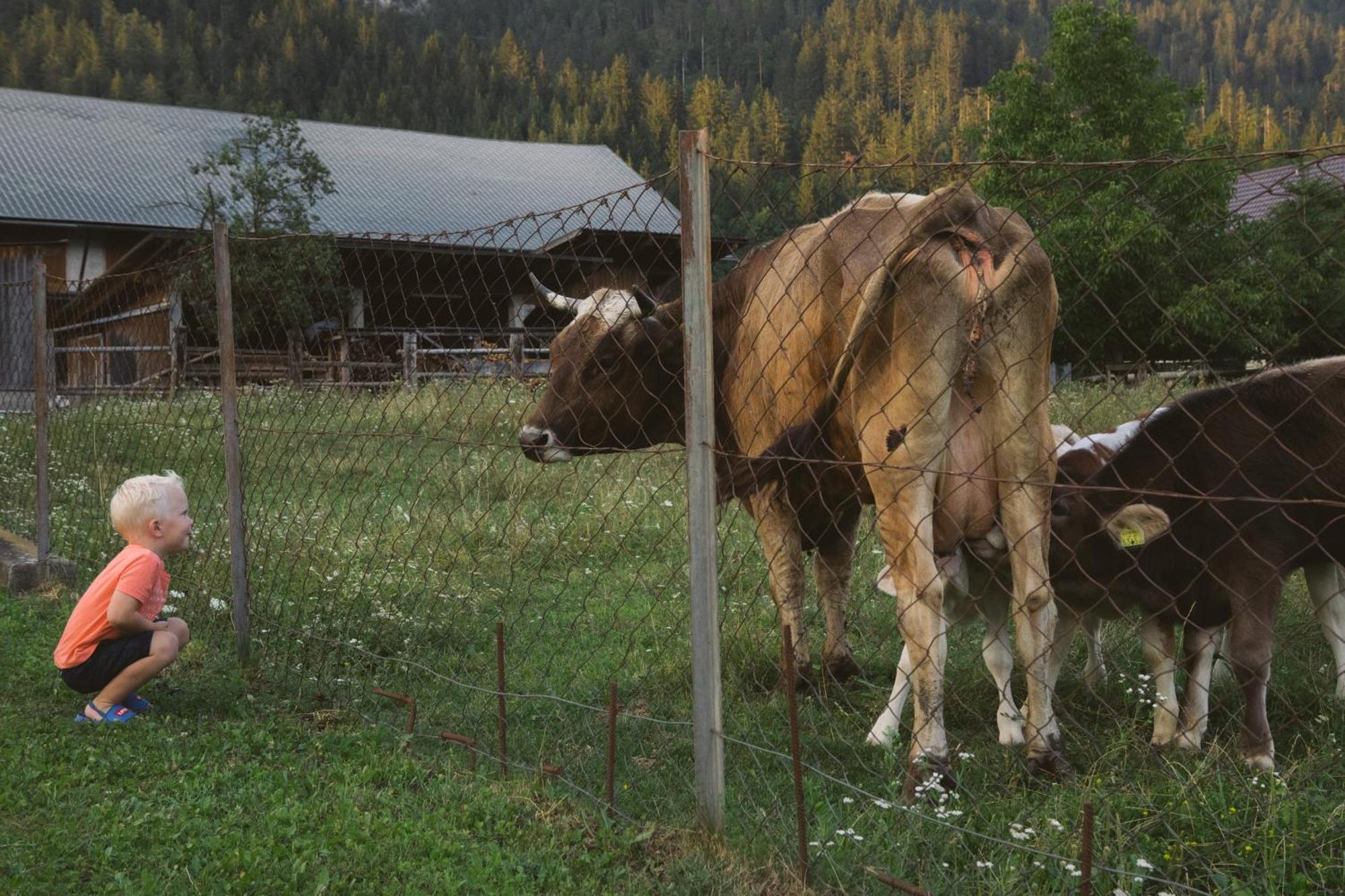 Landhaus Obervellach Hermagor-Pressegger See Kültér fotó